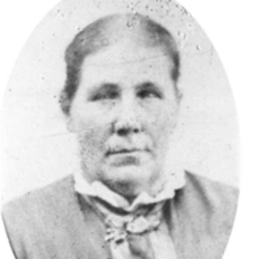 Fidelia Bickmore (1833 - 1915) Profile